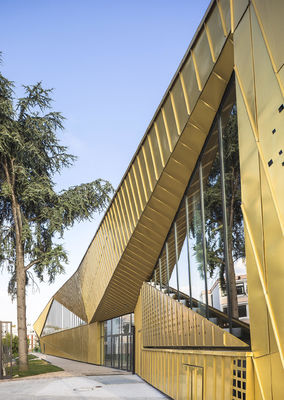 Decorative Exterior Aluminium Curtain Wall Systems Facade Perforated