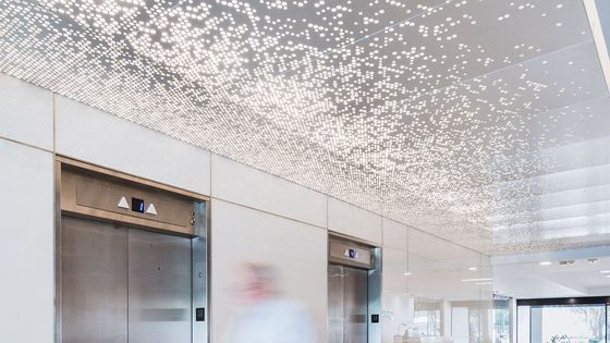 Metal Aluminium Perforated Ceiling Tiles Decorative Wpc Cladding Panel