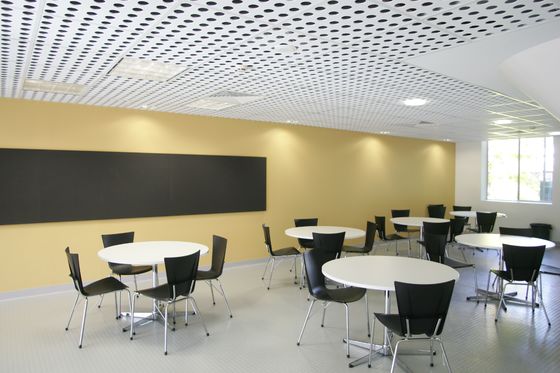 Triangularl Waterproof Aluminium Ceiling Panel Decoration Acoustic False